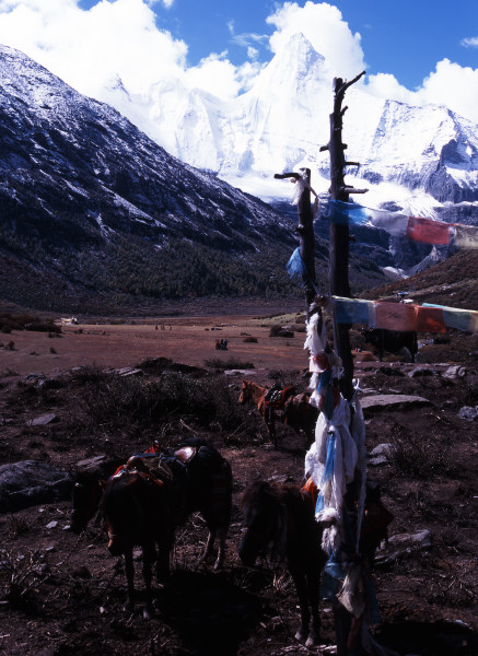 d0091834_14362224.jpg
