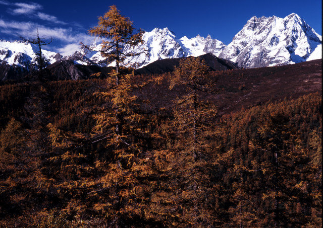 d0091834_143965.jpg
