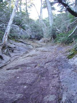 f0065941_1330123.jpg