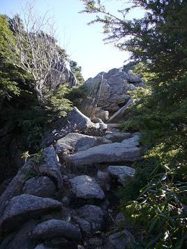 f0065941_13325551.jpg