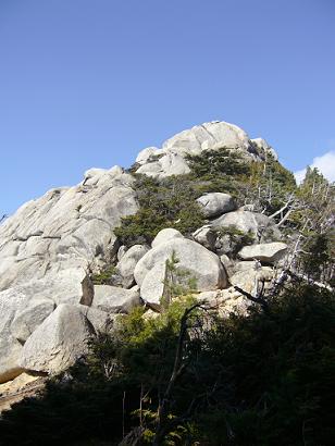 f0065941_13431241.jpg