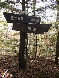 f0065941_13461992.jpg