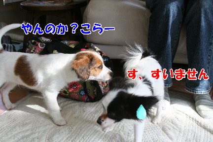 d0013149_0304777.jpg