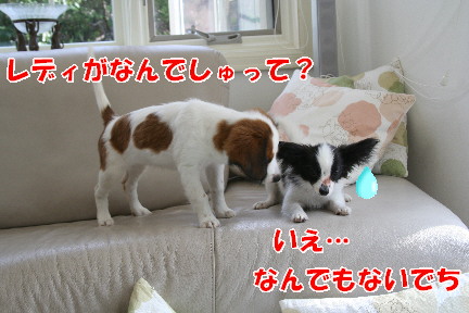 d0013149_0312320.jpg