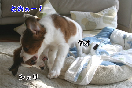 d0013149_031622.jpg