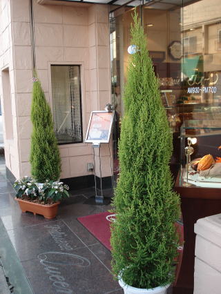 f0041850_16423948.jpg
