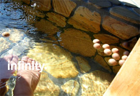 c0069552_13151992.jpg