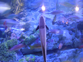 e0029053_123227.jpg