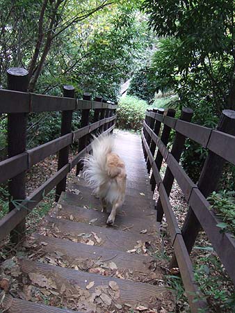 c0097558_23323890.jpg