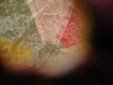 d0029958_19165874.jpg