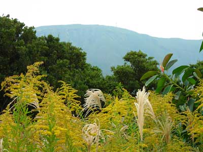 e0097770_2352449.jpg