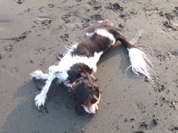 f0030875_0103079.jpg