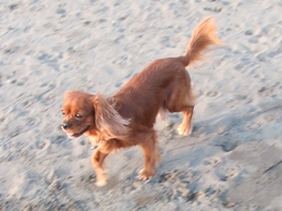 f0030875_02183.jpg