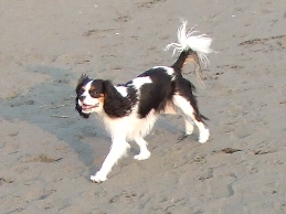 f0030875_032317.jpg