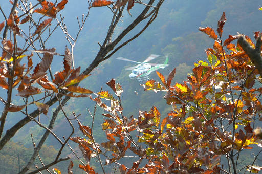 f0054075_1629477.jpg