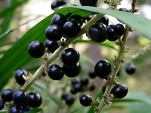 a0044076_2157296.jpg