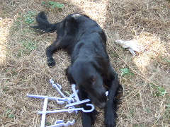 d0070289_2144569.jpg