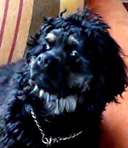 a0079292_16221469.jpg