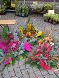 e0028897_17115511.jpg