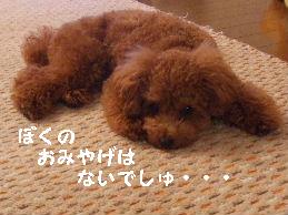 a0007906_1131838.jpg
