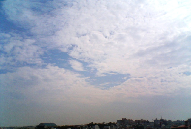 a0082706_10302543.jpg