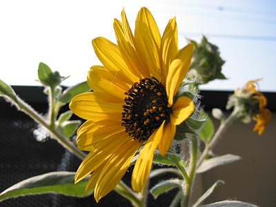 a0041508_231269.jpg