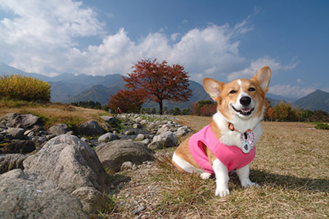 c0088708_20521197.jpg