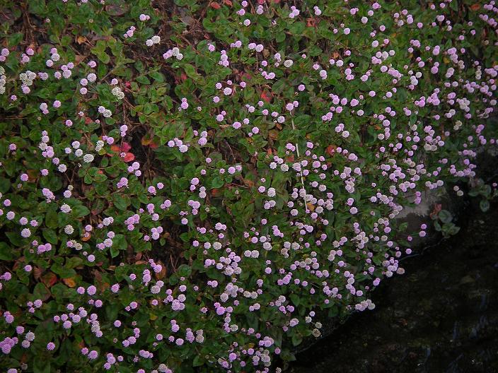 c0097309_9345045.jpg