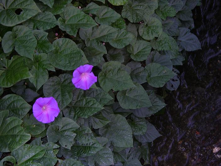 c0097309_9393588.jpg