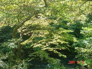 f0052411_17421665.jpg