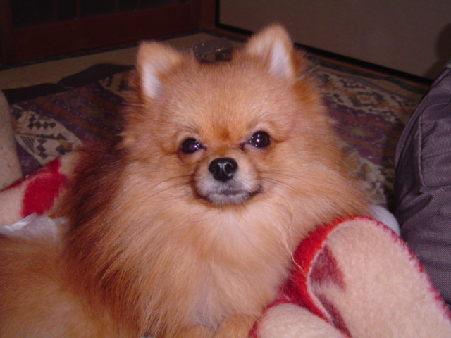 f0012924_3415146.jpg