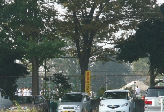 e0071225_22415837.jpg