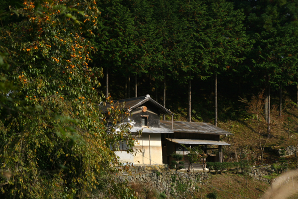 f0081726_2175068.jpg