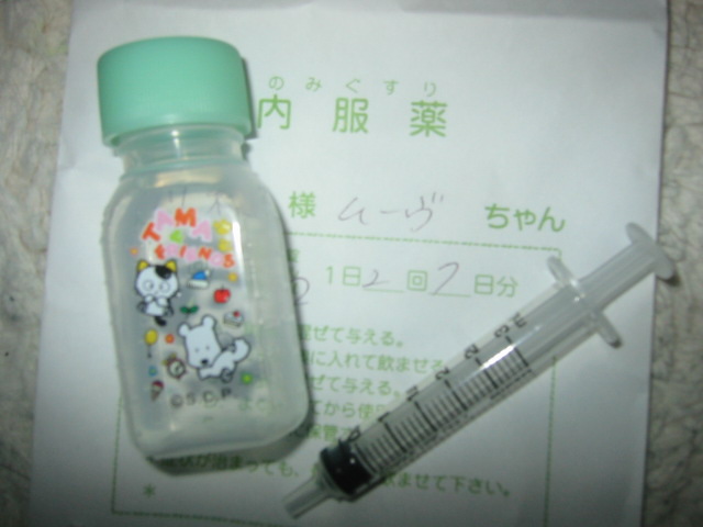 d0080733_224566.jpg