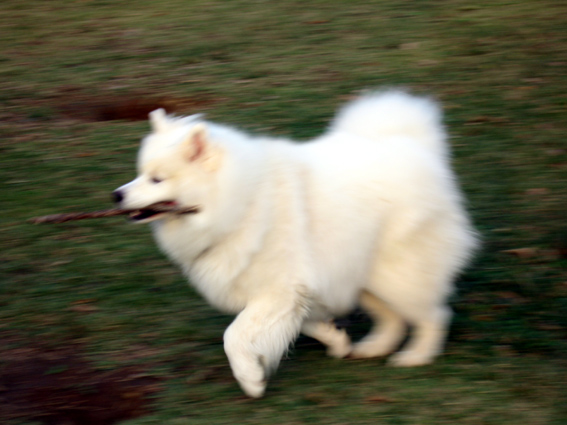 c0035838_637586.jpg
