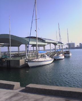 c0041039_16101414.jpg
