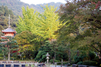 d0020139_0514787.jpg
