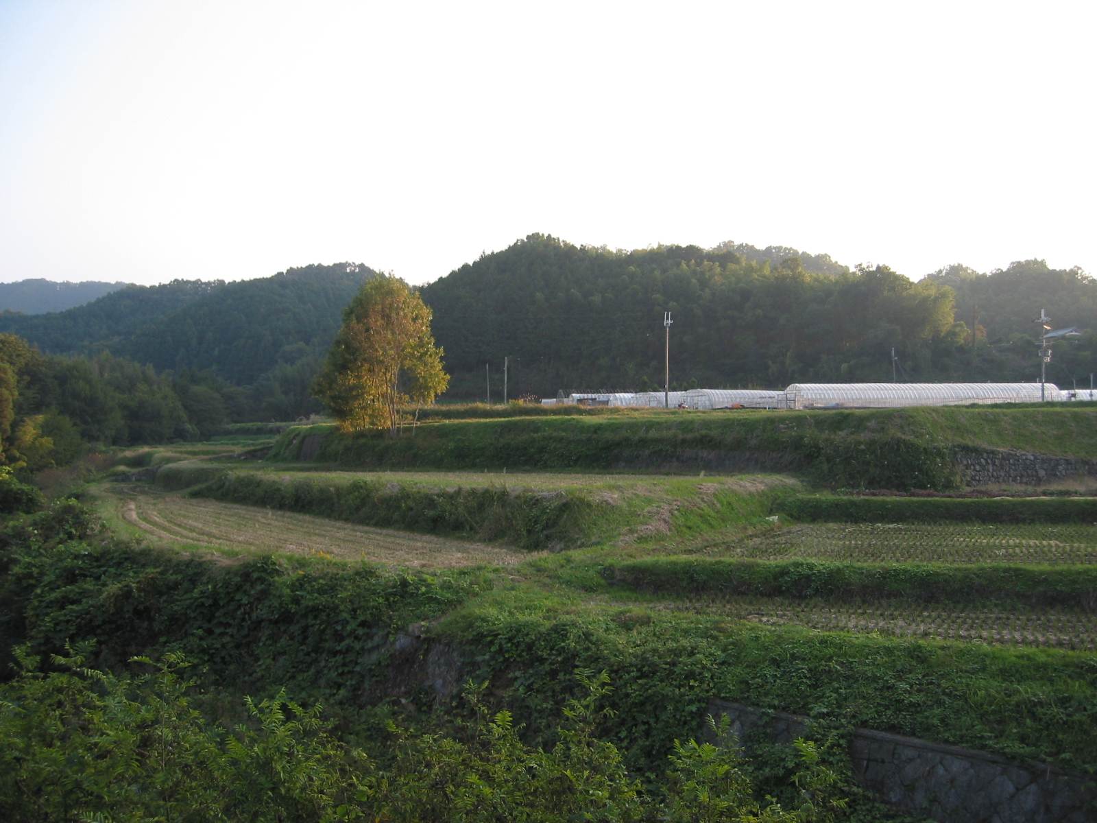 b0039246_22252615.jpg