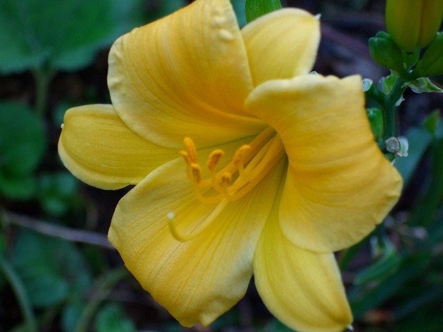 b0045947_8315791.jpg