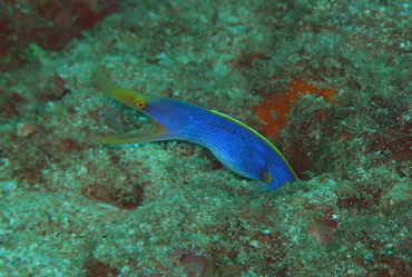 d0065247_21231068.jpg
