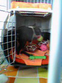 e0098547_1225565.jpg