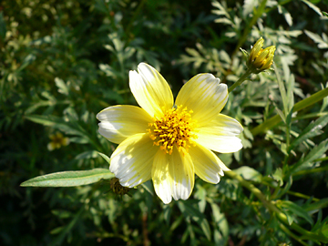 c0069048_6521927.jpg