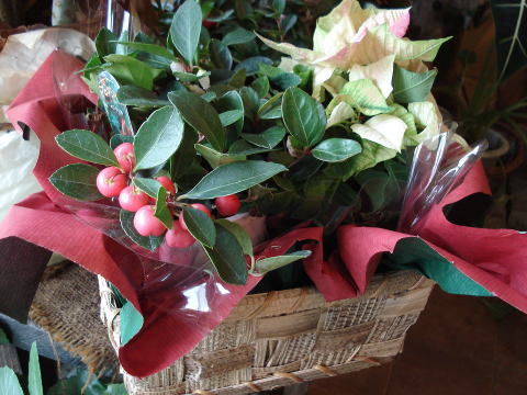 f0041850_17211891.jpg