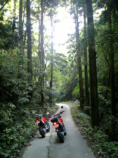 a0052952_19524724.jpg