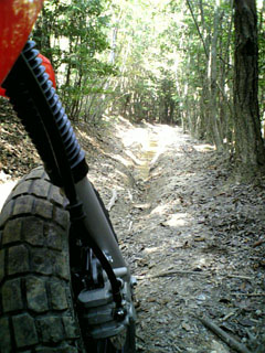 a0052952_19542631.jpg