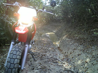 a0052952_19553784.jpg