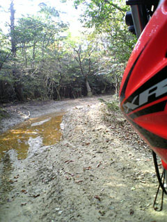 a0052952_19554941.jpg