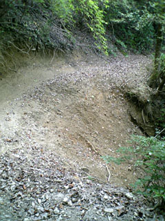 a0052952_1955650.jpg