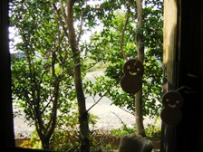c0081552_2359776.jpg