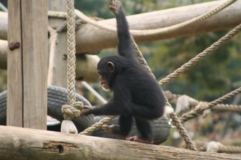 e0086860_856419.jpg